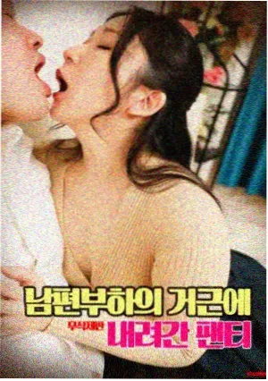 南瓜电影分镜观察样本扩充资讯配图